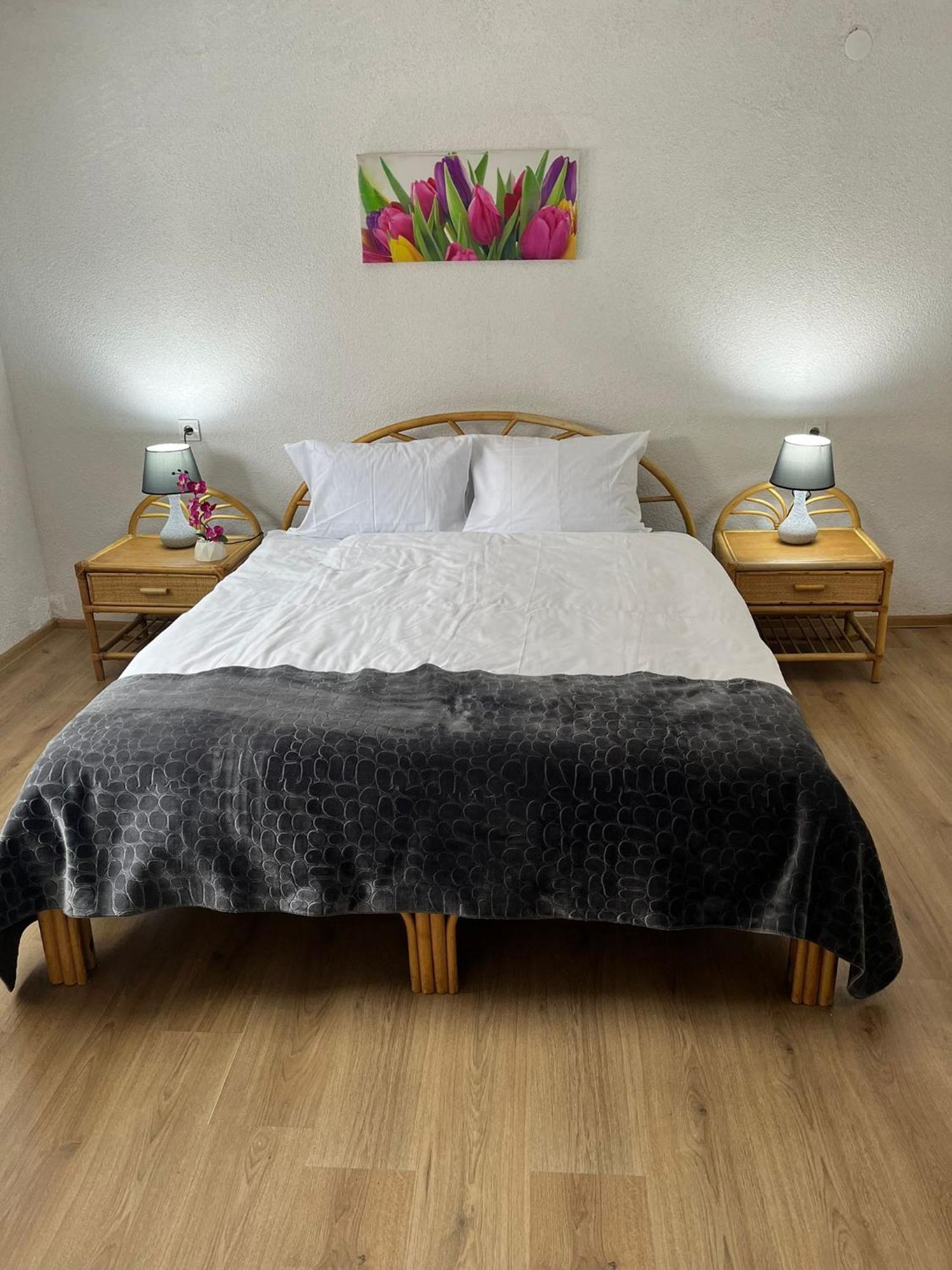 Appartment Zlatan ซาราเยโว ภายนอก รูปภาพ